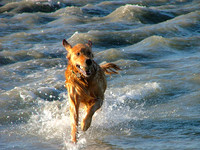 Action Hero