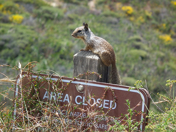 Area Closed