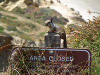 Area Closed Two