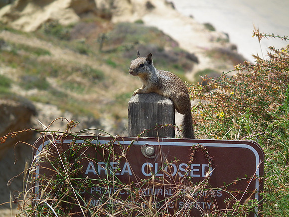 Area Closed Two