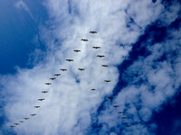 Flying In & Out Of The Stream