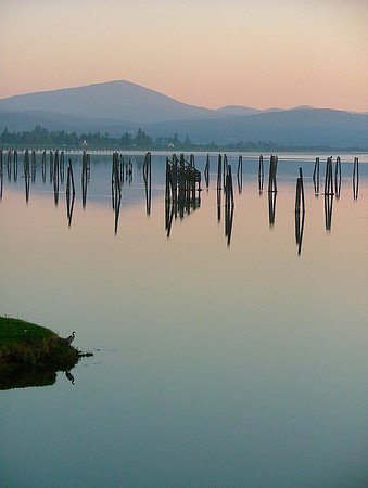Heron Meditations