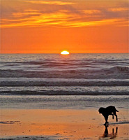 Hip Ups Sunset