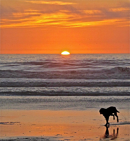 Hip Ups Sunset