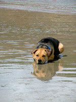 Laying In Wet...Waiting