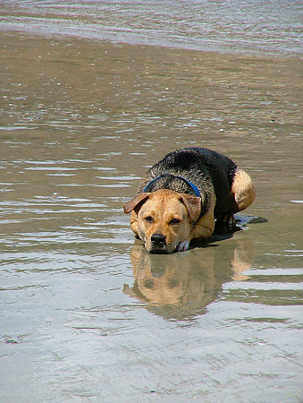 Laying In Wet...Waiting