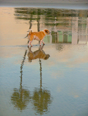 Making Reflections Of Memory