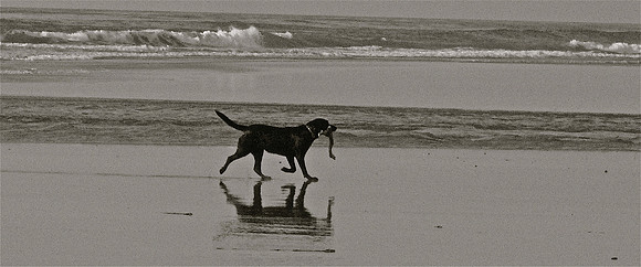 My Stick, My Life