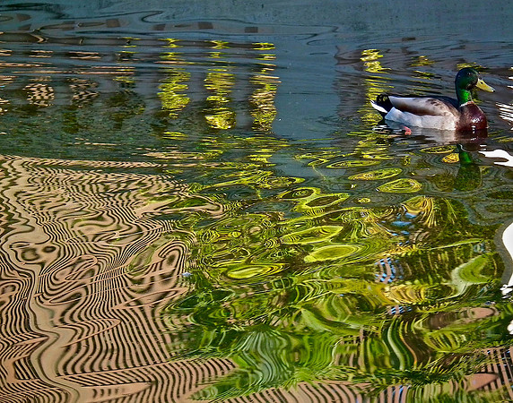Painting By Mallard