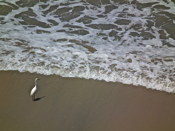 Patience In Waves
