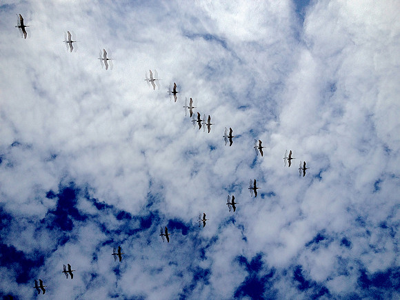 Quantum Flight