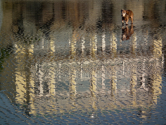 Reflections Of The Ages