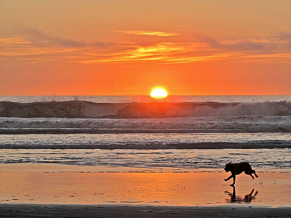 Run For The Sun Too!