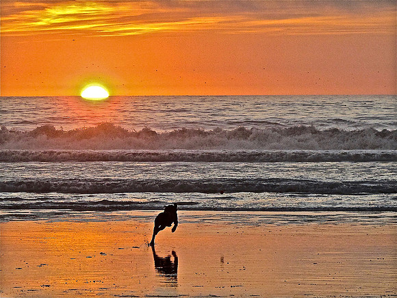 Running For The Sun