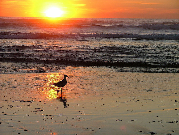 Soaking In The Last Light
