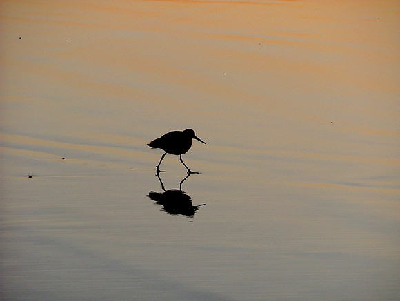 Solitude