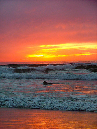 Sunset's Last Swim