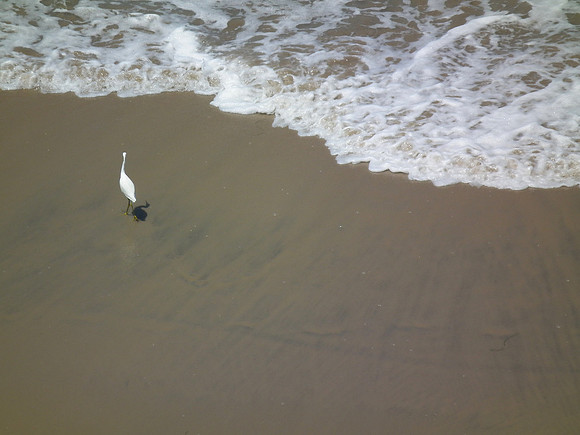 The Shadow Of Alone
