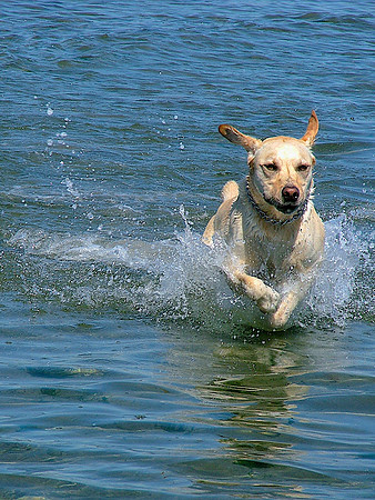 Triathlon Training