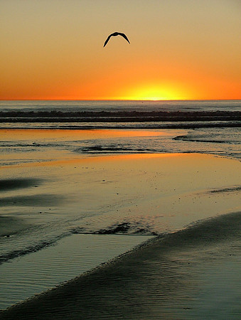 Grace-In-Flight